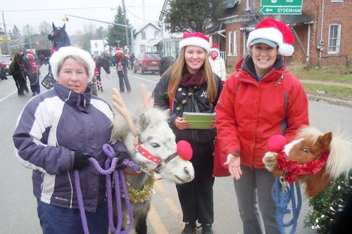 Miniature horses were in abundance at this year's Harrowsmith parade